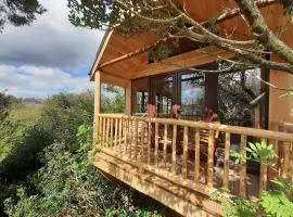 Ark Ranch Treehouse, rainforest oasis in West Cork