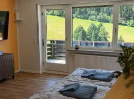 Ferienwohnung mit Pool, Sauna und einem tollen Blick über den Schwarzwald, nahe Freudenstadt