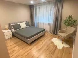 Cozy apartment in city centre