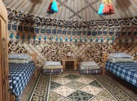 40 Rays Yurts