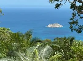 Tropical garden self catering - sea view