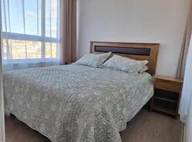 Cómodo y acogedor departamento en pleno centro de Concepción