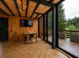 Norway Cabins Sinaia Romantic Nordic Escape and Fire Pit