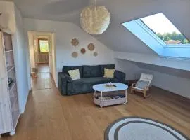Bright and cosy Apartment near Freiburg