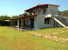 Aenaon House Collection