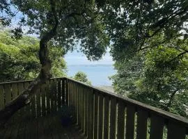 Harbour view Tree House
