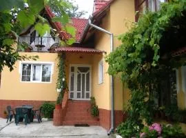 Vila Simona