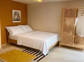 Chaleureux studio refait à neuf !