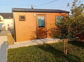 The Cabin