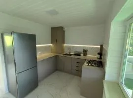 Family house будиночок у Яремче
