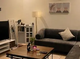 شقه فندقه