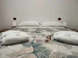 Appartamento Magnolia 325