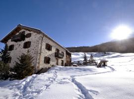 La Dormeuse, serviced apartment in Livigno