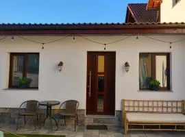 Casa A&A Stefan Livada AP 2