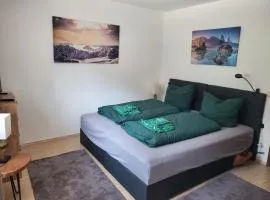FerienwohnungPanorama