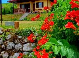 Nature escape cottage