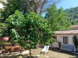 The Garden House