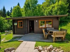 Chalet in Wörgl near Ski Lift