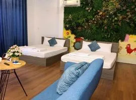 QN Home