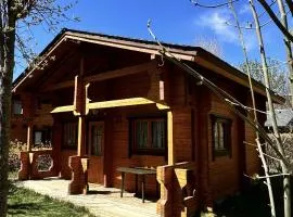Chalet 2 chambres à Estavar
