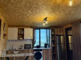 Stillwood Tsikhisdziri