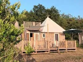 la ferme des petites plumes