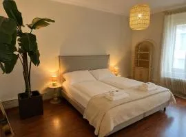 Stylish old building - Parking - 16 minutes to Zurich
