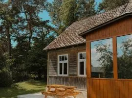 Ligzdiņas