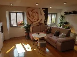 Apartma Slavica