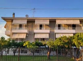 K SANTIS STUDIOS