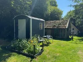 Kleine Pipowagen op natuurcamping