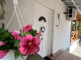 Virág apartman