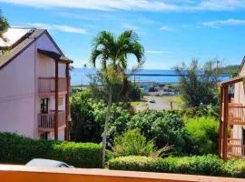 Central and Bright 2 BR, 2 BA, Pool and Oceanview
