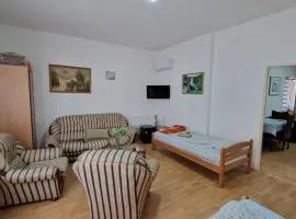 Aleksinac Centar Two-Bedroom Apartment