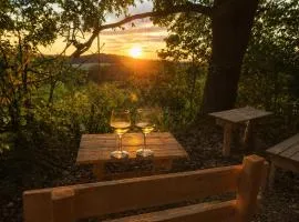 Tinyhouse Alpakas Ruhe&Natur Lavendelnest Südburgenland- Frühstück zubuchbar