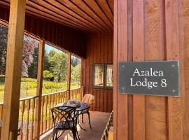 Azalea Lodge 8 with Wood Burning Hot Tub