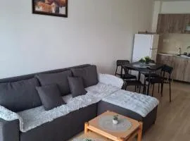 Zmaj LUX 2