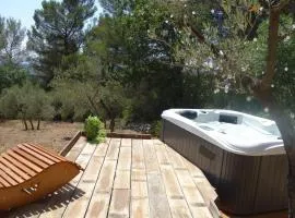 Le Cabanon