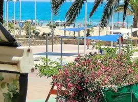 Avenida Mediterráneo central
