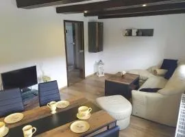 Elbblick-kleine-Wohnung-mit-Terrasse