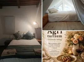 Agriturizem gourmet Italian style VILINSKI BRLOG