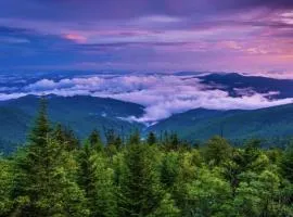 View Prime Location Min to PKWY, DOLLYWOOD, more condo