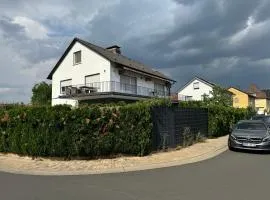 Burgblick Karlstadt