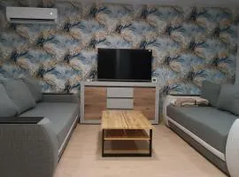 Будинок з сауною та чаном