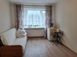 Rohu 44 apartment
