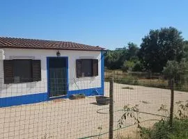 Quinta dos Rodrigues