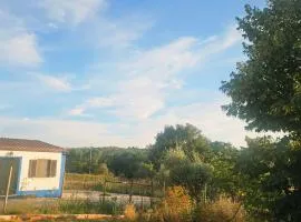 Quinta dos Rodrigues