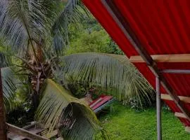 Le paradis créole