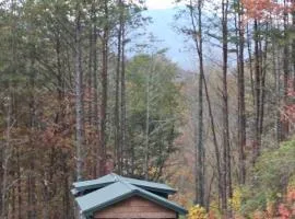 Amazing Mountain View Tiny House