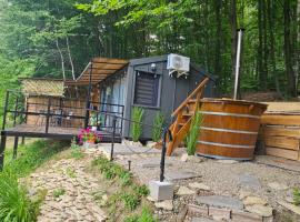 Căsuța din pădure KSIM, hotel i Curtea de Argeş